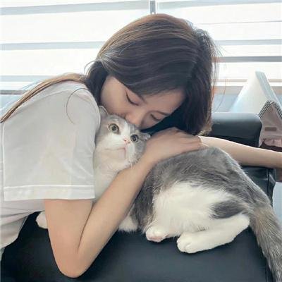 追查到底