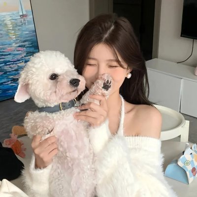 沙普的危机